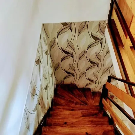 Mari Dor Cluj-Napoca